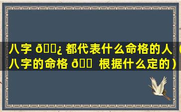 八字 🌿 都代表什么命格的人（八字的命格 🐠 根据什么定的）